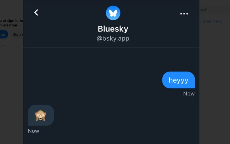 bluesky now has DM feature without invite code